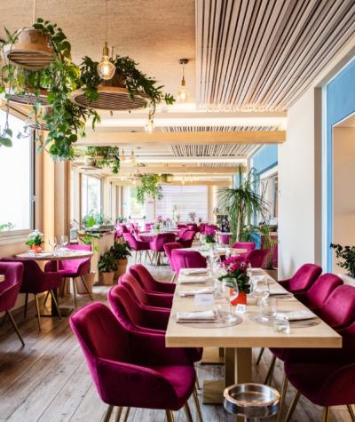 Ristorante elegante con sedie rosa, piante sospese e atmosfera luminosa e accogliente.