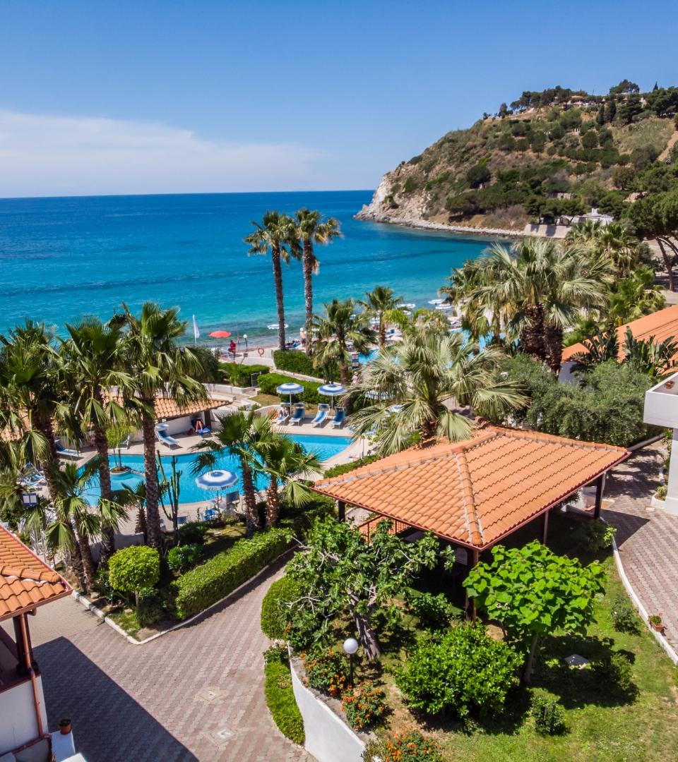 Vista mare con palme, piscina e colline in lontananza.